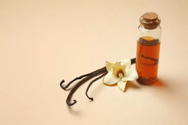 imagem ilustrativa para texto sobre aroma de baunilha