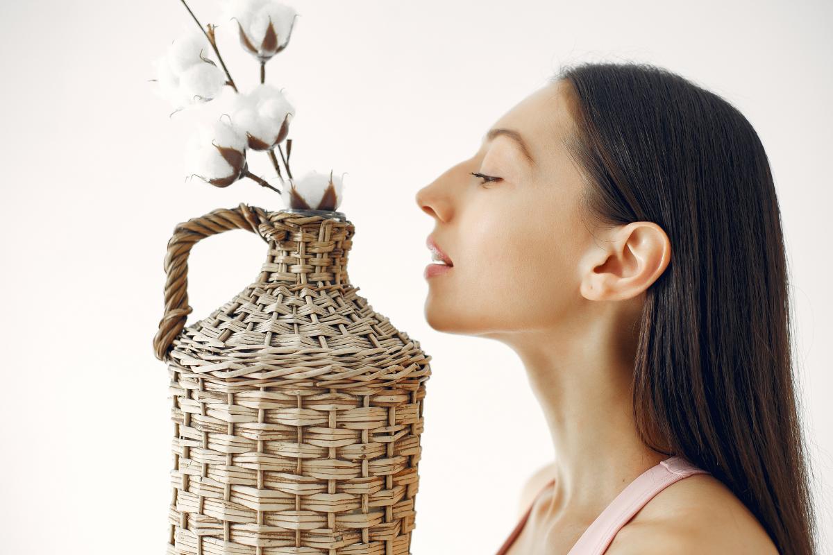 memória olfativa (3)