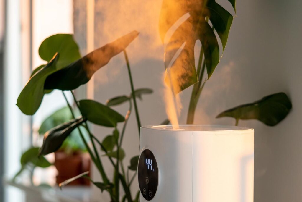 Quanto tempo dura um aromatizador de ambientes capa