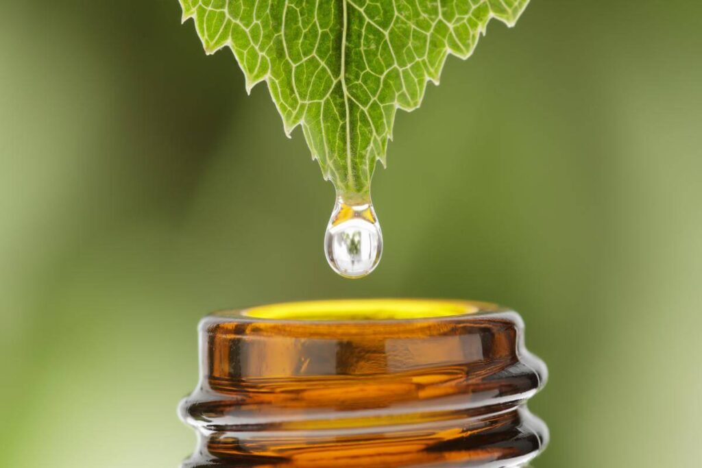 como diluir essencia concentrada capa