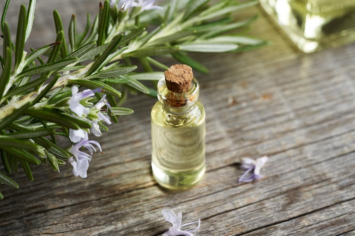 qual a melhor marca de essência para aromatizador de ambiente (2)