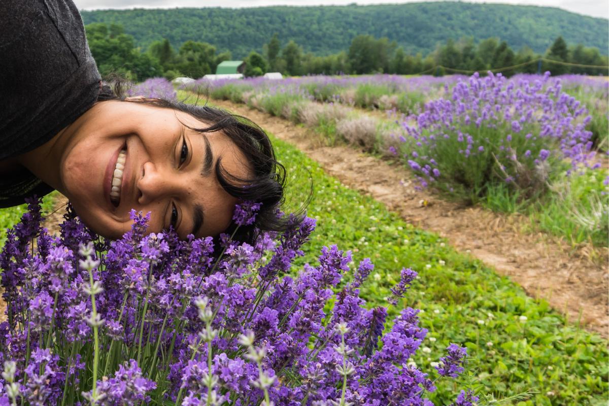 benefícios da aromaterapia (1)