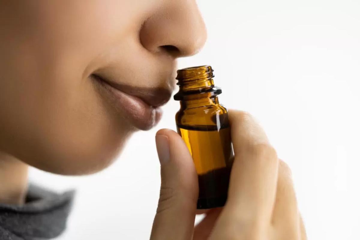 identidade olfativa 1