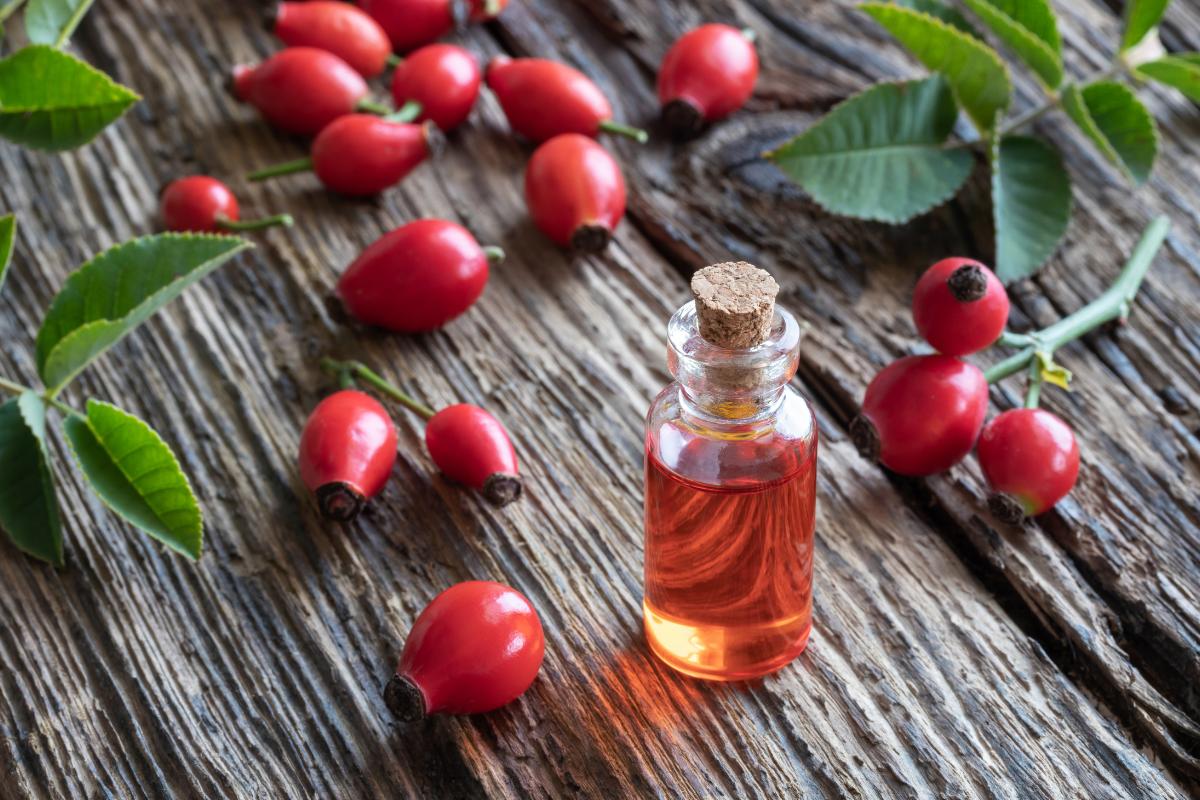 óleos essenciais para que serve cada um (1)