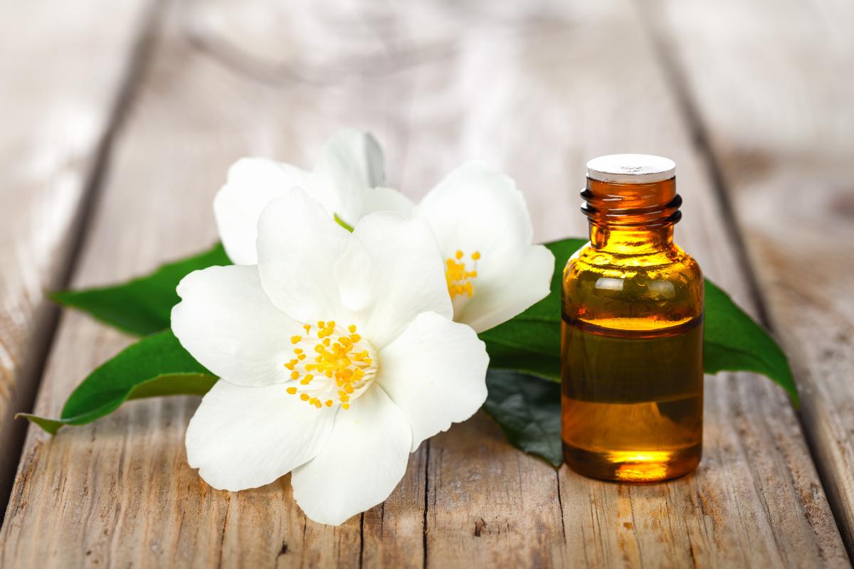 óleos essenciais para que serve cada um (2)