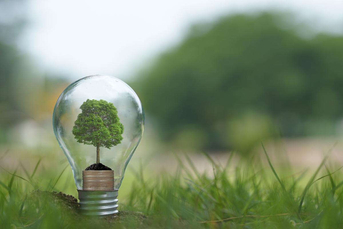 sustentabilidade ambiental (1)