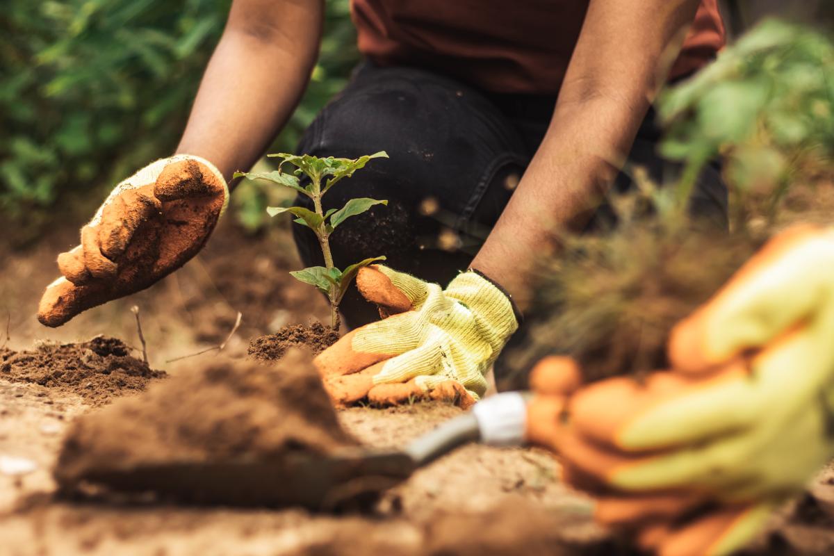 sustentabilidade ambiental (2)