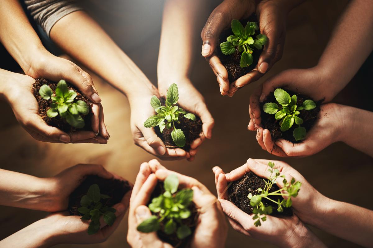 sustentabilidade ambiental (3)