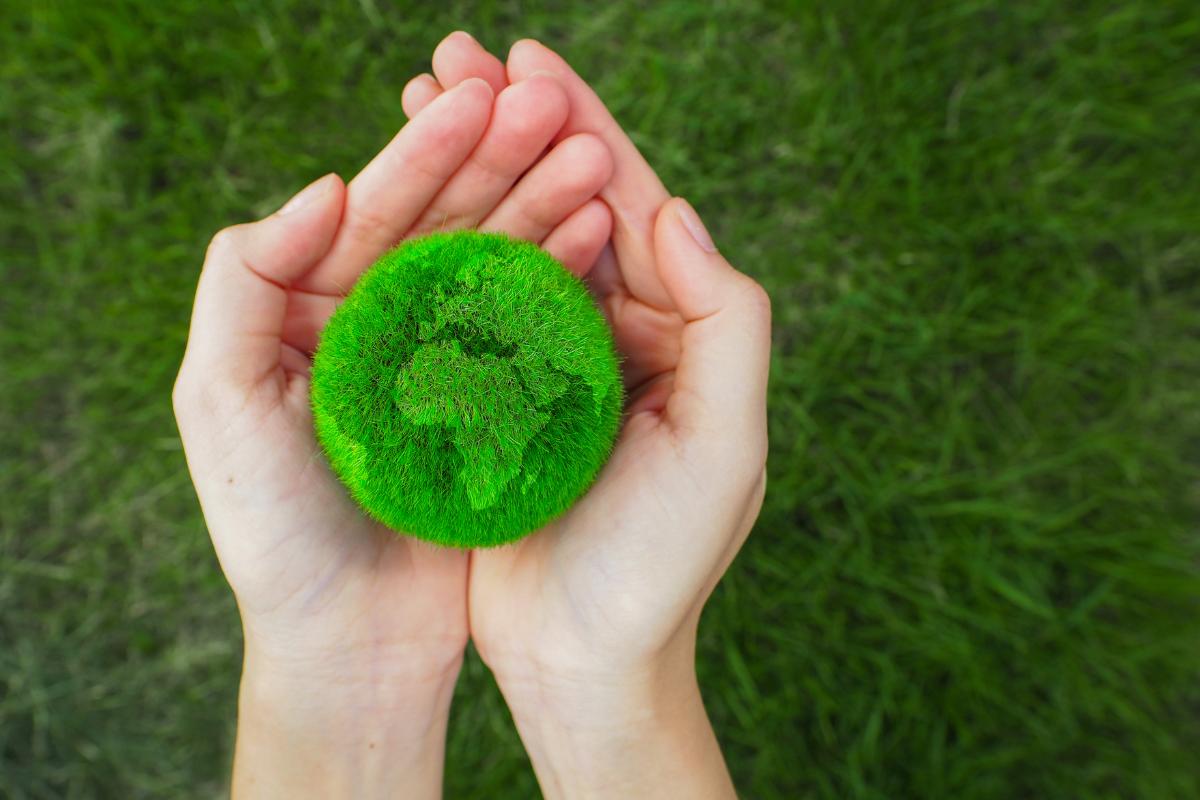 sustentabilidade ambiental (5)