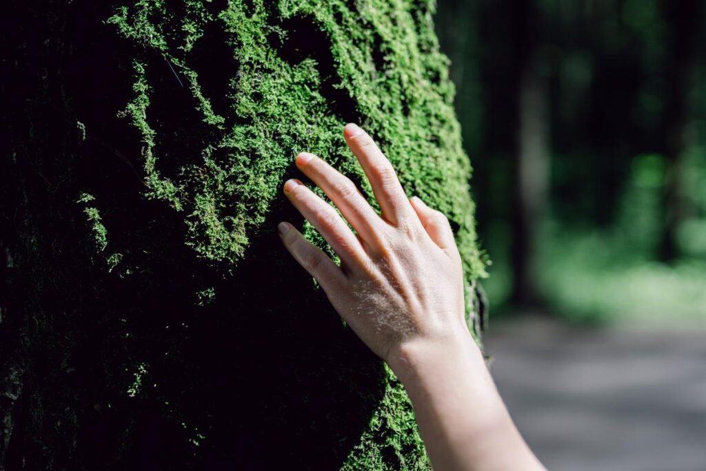 Marketing sensorial capa 1