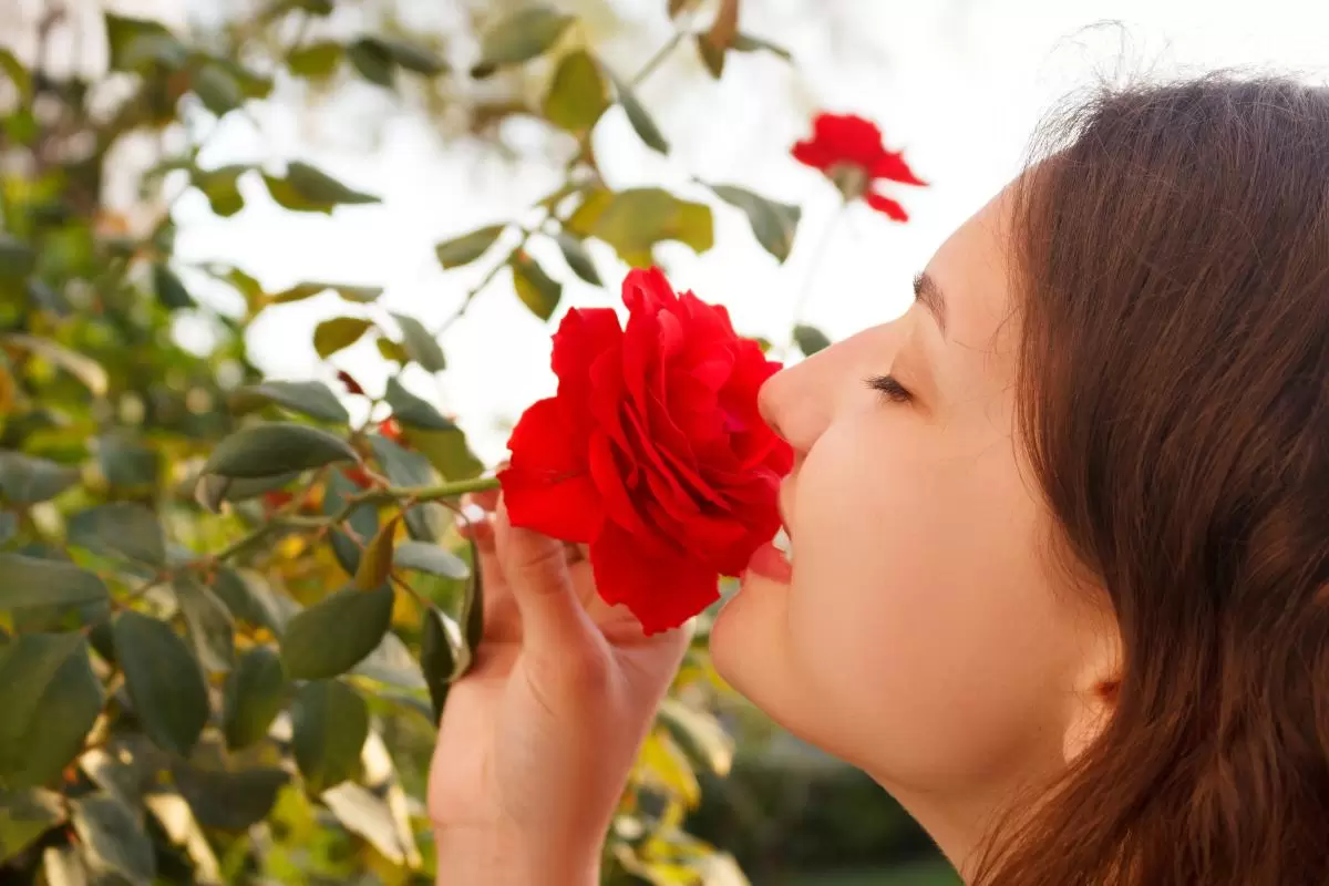 Marketing Sinestésico (capa)