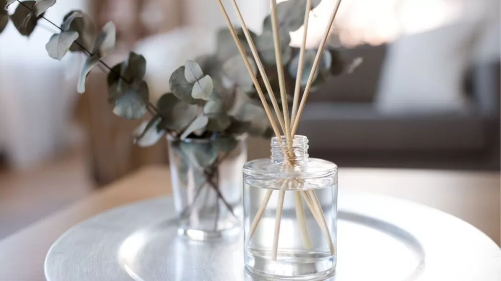 Eucalipto em difusor com vareta