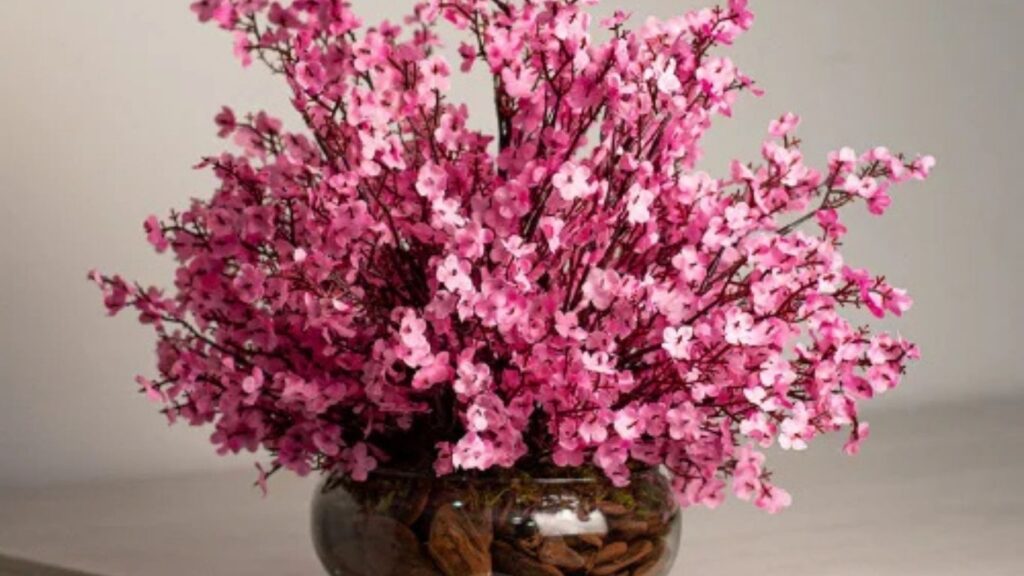 Vaso com arranjo de flor de cerejeira.