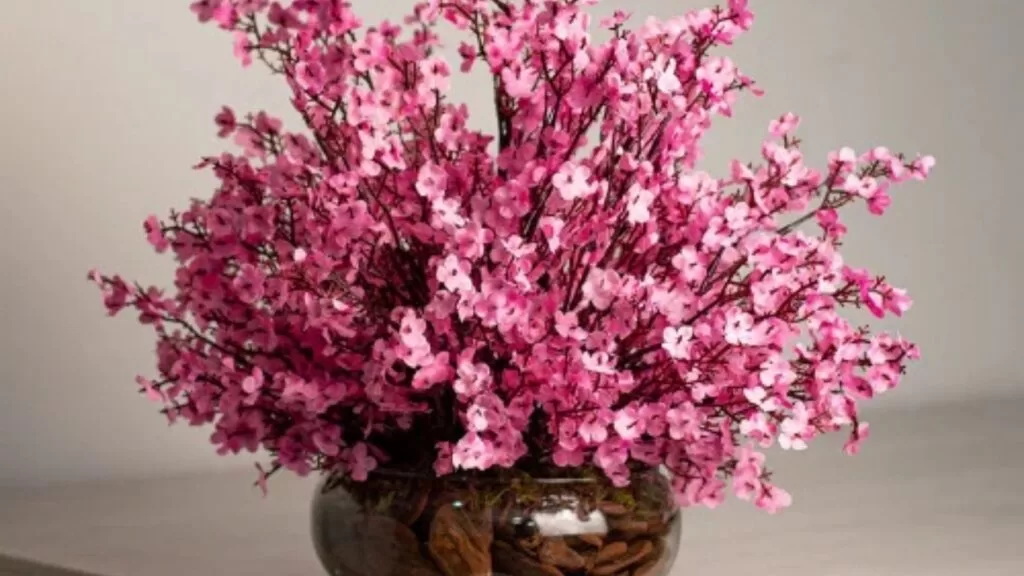 Vaso com arranjo de flor de cerejeira.