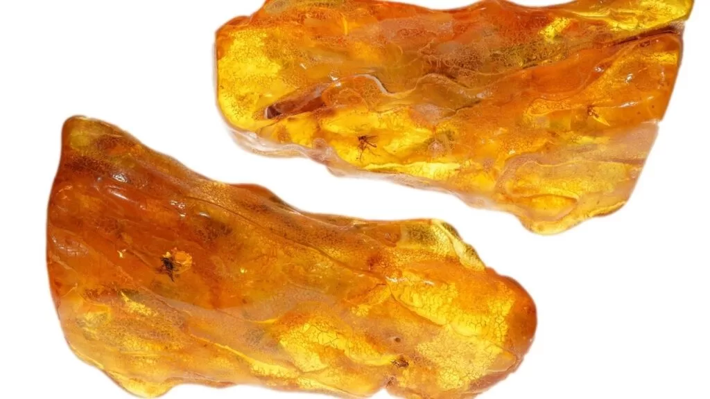 Cheiro de âmbar: pedras de âmbar em estado natural.